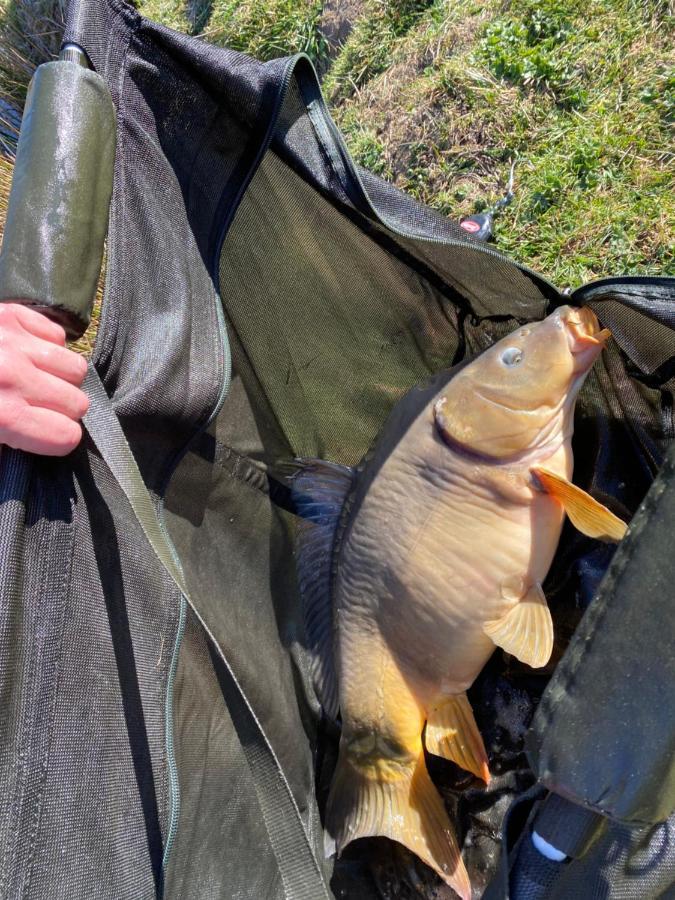 Fonclaire Holidays Carpers Rest * Blond